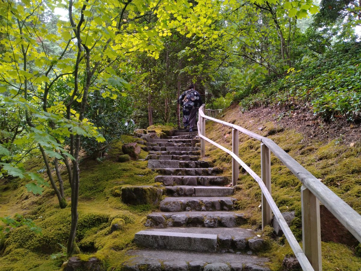 こちらはポートランド日本庭園の景色です
