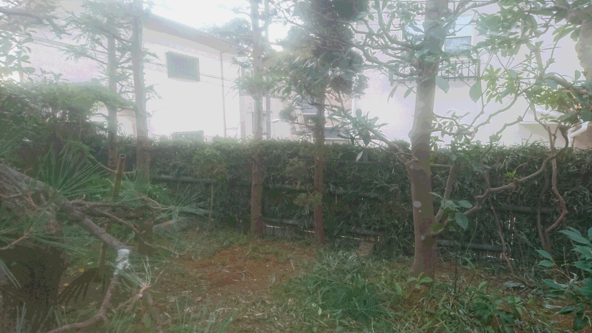 家側は竹穂垣にしました。
